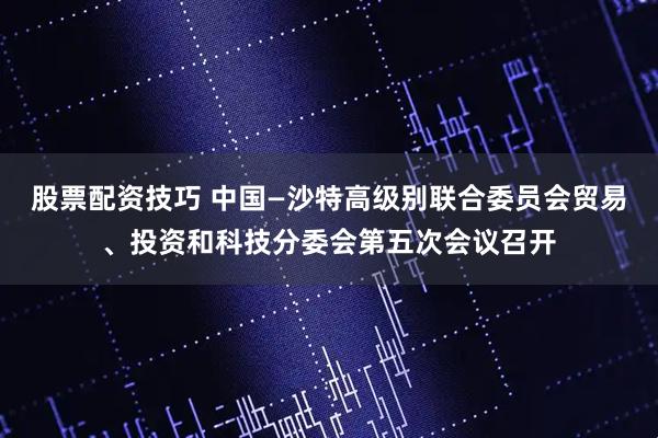 股票配资技巧 中国—沙特高级别联合委员会贸易、投资和科技分委会第五次会议召开