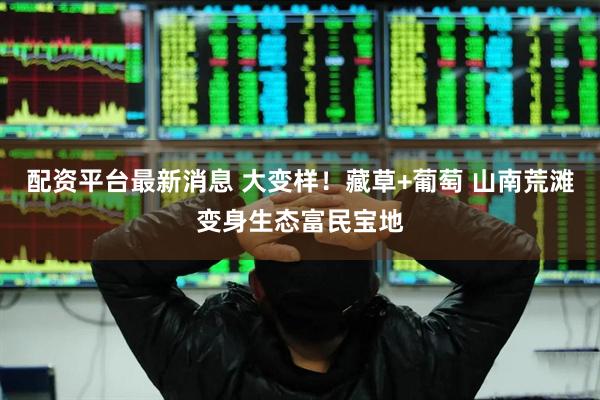 配资平台最新消息 大变样！藏草+葡萄 山南荒滩变身生态富民宝地
